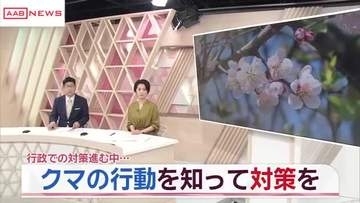 冬眠明けのクマが市街地にも出没　秋田県情報マップシステム「クマダス」など活用し対策を