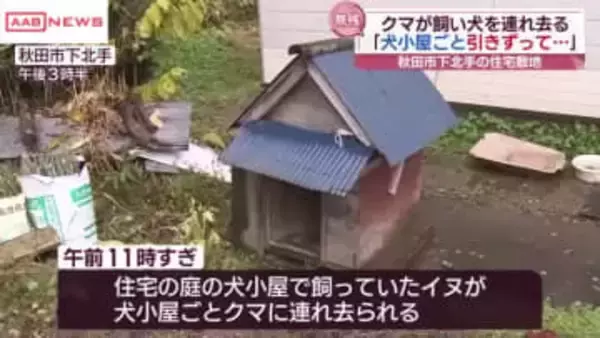 飼い犬がクマに連れ去られる　自宅庭で犬小屋ごと引きずられ山の方へ　/秋田