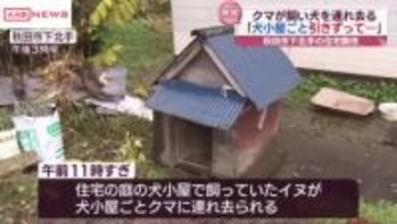 飼い犬がクマに連れ去られる　自宅庭で犬小屋ごと引きずられ山の方へ　/秋田