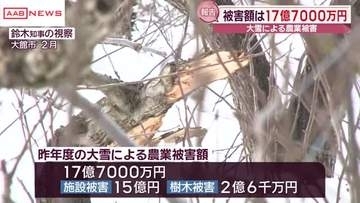 大雪による農業被害は１７億７千万円　２０２５年度　ハウスなど施設被害１５億円　樹木被害２億６千万円