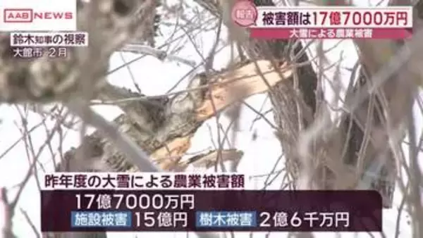 大雪による農業被害は１７億７千万円　２０２５年度　ハウスなど施設被害１５億円　樹木被害２億６千万円