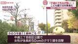 「クマ出没で子どもが外で遊べない…　秋田市が市有施設を開放　子ども園では避難訓練も」の画像1