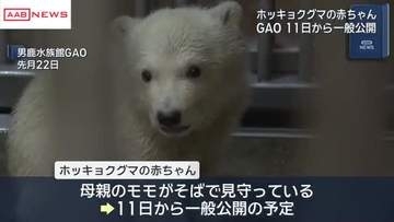 ホッキョクグマの赤ちゃん　１１日から一般公開　生後４カ月　秋田・男鹿水族館ＧＡＯ