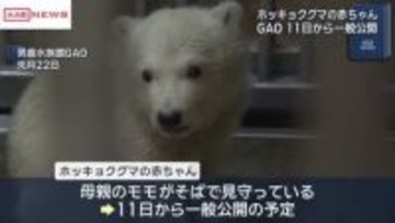 ホッキョクグマの赤ちゃん　１１日から一般公開　生後４カ月　秋田・男鹿水族館ＧＡＯ