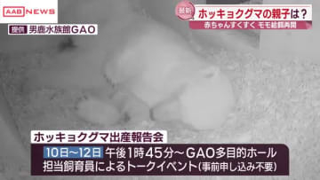 ホッキョクグマの赤ちゃん最新映像　秋田・男鹿水族館で１２月に誕生　母親モモは２カ月ぶりの食事