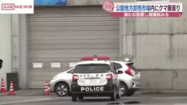 秋田市の公設地方卸売市場の倉庫にクマが居座り　けが人はなし　捕獲に向けて箱わなを設置