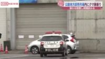 秋田市の公設地方卸売市場の倉庫にクマが居座り　けが人はなし　捕獲に向けて箱わなを設置