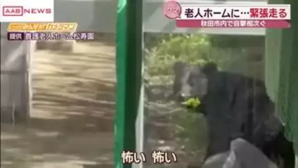 「あっ！クマがいた 怖い怖い」老人ホーム敷地に出没　緊張が走る　秋田市でクマの出没相次ぐ