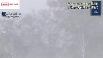 峠では雪景色…一面真っ白に―沿岸では最大瞬間風速３０ｍ超　冬型の気圧配置で大荒れ　秋田