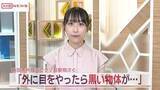 「目撃者が語る「窓の外に黒い物体が…」クマの目撃相次ぐ　秋田市外旭川地区　「うろついて去って行った」」の画像1