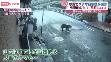 市街地のクマはいつ冬眠？　出没件数減少もクマのえさになるもの取り除くこと肝心　/秋田