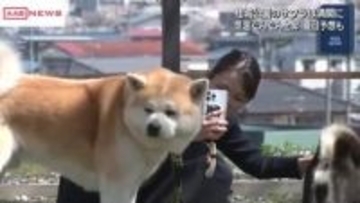 秋田県内　夏日になるところも　予想最高気温　大館市・秋田市２６℃　横手市２５℃