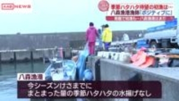 季節ハタハタ接岸まだか…　八森町・八森漁港でも漁師が期待　/秋田