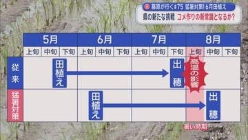 猛暑対策！6月田植え　青森県の新たな挑戦　コメ作りの新常識となるか？　藤原が行く#75