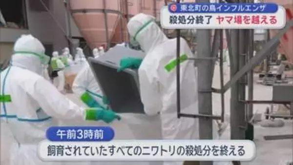 東北町の鳥インフルエンザ殺処分終了　宮下知事「ヤマ場越えた」