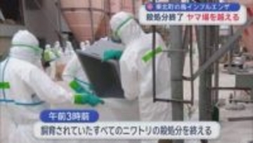 東北町の鳥インフルエンザ殺処分終了　宮下知事「ヤマ場越えた」
