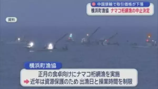 中国禁輸で取引価格が下落　横浜町漁協　ナマコ桁網漁の中止決定／青森