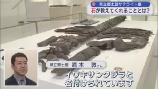 県立郷土館サテライト展　石が教えてくれることとは？／青森県