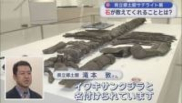 県立郷土館サテライト展　石が教えてくれることとは？
