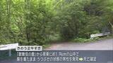 「山菜採りで入山し遭難か　佐井村の山中で身元不明の男性遺体／青森県」の画像1