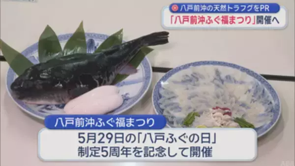 「八戸前沖ふぐ福まつり」開催へ　旬の天然トラフグをPR