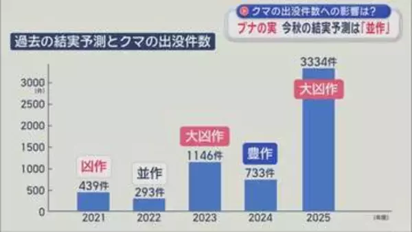 「ブナの実」2026年秋の結実予測は“並作”　クマの出没件数への影響は？
