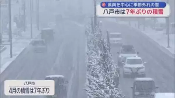 季節外れの雪！八戸市では7年ぶりの4月の積雪