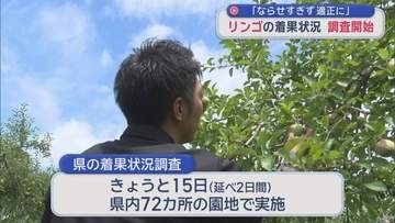 「ならせすぎず適正に」　リンゴの着果状況　調査開始／青森県