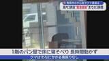 「青森市の中心街でクマ居座る　県内3例目“緊急銃猟”までの3時間」の画像1
