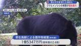 「クマ・イノシシの農作物被害が過去最大　青森県 新たな対策費用補助も」の画像1