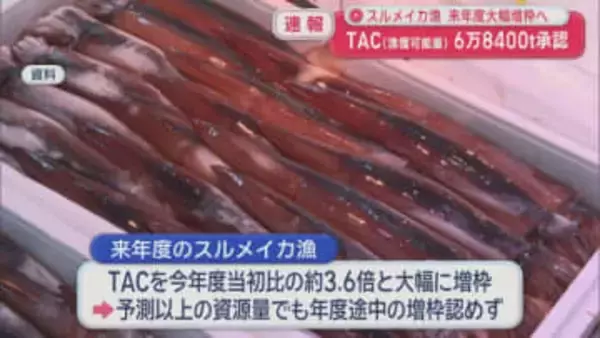 スルメイカ漁　2026年度大幅増枠へ　TAC（漁獲可能量）6万8400t承認／青森県