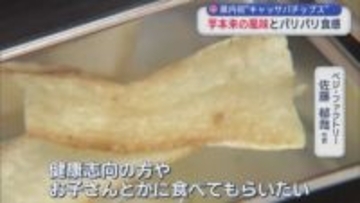 青森県内初“キャッサバチップス”　芋本来の風味とパリパリ食感