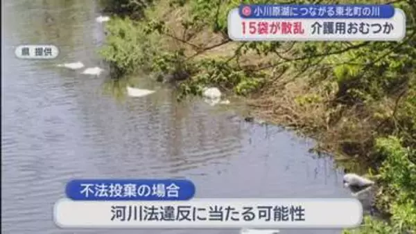 「介護用おむつ」川に不法投棄か　小川原湖につながる東北町の川に散乱