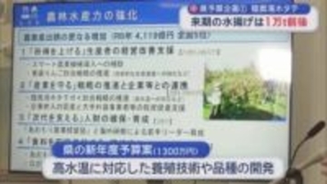 県予算企画　陸奥湾ホタテ　来期の水揚げは1万ｔ前後