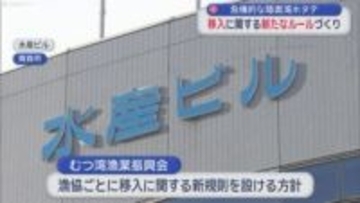 危機的な陸奥湾ホタテ　移入に関する新たなルールづくり／青森県