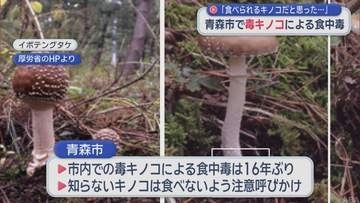 「食べられるキノコだと思った…」　青森市で毒キノコによる食中毒