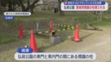 弘前公園で誘導用標識の柱壊される　若い男性がぶら下がっていたのを目撃