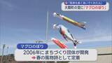 「大間町の空に巨大な “マグロのぼり”　「気持ちよく泳いで」」の画像1