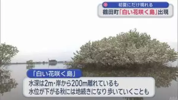 初夏にだけ出現 “白い花咲く島”／青森・鶴田町