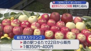 イラストや津軽弁の文字も！ 絵文字入りリンゴの収穫／青森・鶴田町