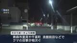 「中心街含め青森市内でクマ出没相次ぐ　市は警戒レベルを最高の3に引き上げ」の画像1