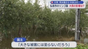 【再び大雨】 弘前市のリンゴ園の被害は…