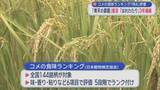 「コメの食味ランキング「特Ａ」評価　「青天の霹靂」復活　「はれわたり」3年連続／青森県」の画像1