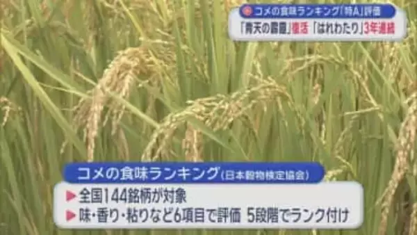 コメの食味ランキング「特Ａ」評価　「青天の霹靂」復活　「はれわたり」3年連続／青森県