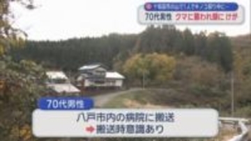 十和田市の山で1人でキノコ採り中に…　70代男性 クマに襲われ顔にけが