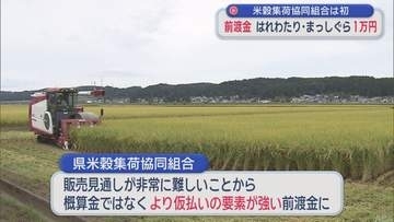 米穀集荷協同組合は「前渡金」を決定　「はれわたり」「まっしぐら」ともに1万円