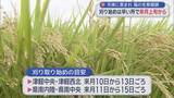 「青森県内 稲の刈り始めは早い所で9月上旬から　天候に恵まれ生育順調」の画像1