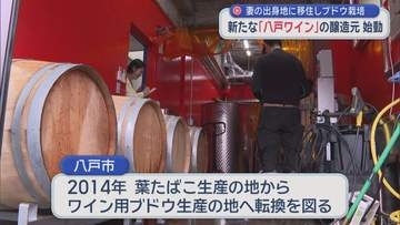 「八戸ワイン」新たな醸造元始動　妻の出身地に移住しブドウ栽培