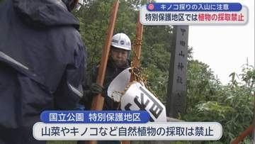 キノコ採りの入山に注意　特別保護地区では植物の採取禁止／八甲田山