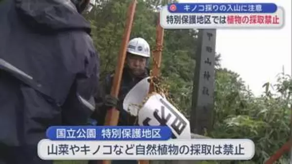 キノコ採りの入山に注意　特別保護地区では植物の採取禁止／八甲田山